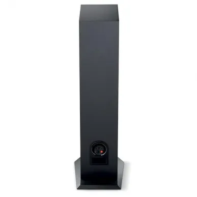 Напольная акустика Focal Chora 816 Black